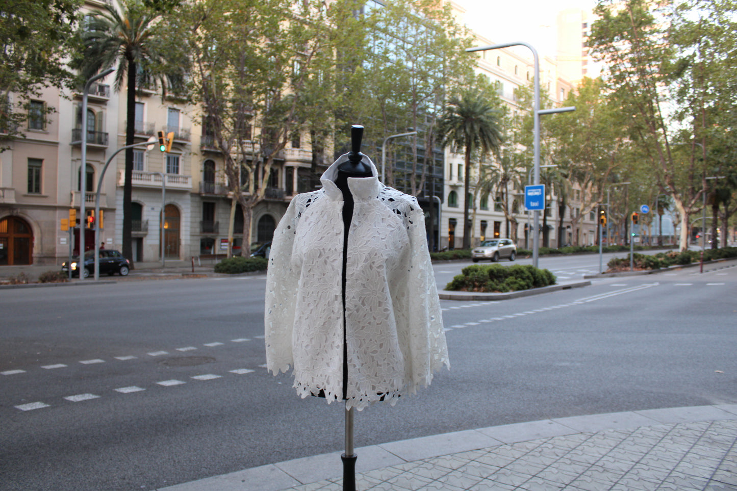 Purification - Handmade Raglan Jacket